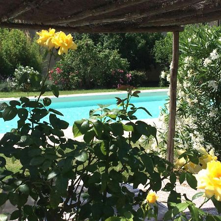 Agriturismo Lupo Vecchio Grosseto Dış mekan fotoğraf