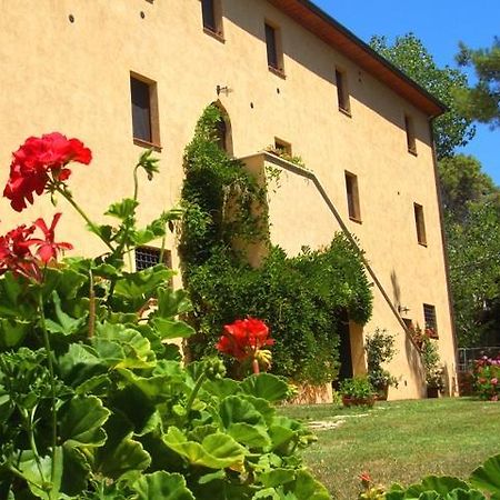 Agriturismo Lupo Vecchio Grosseto Dış mekan fotoğraf