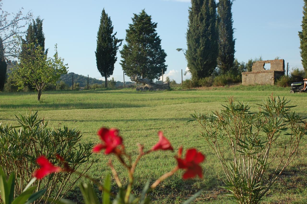 Agriturismo Lupo Vecchio Grosseto Dış mekan fotoğraf